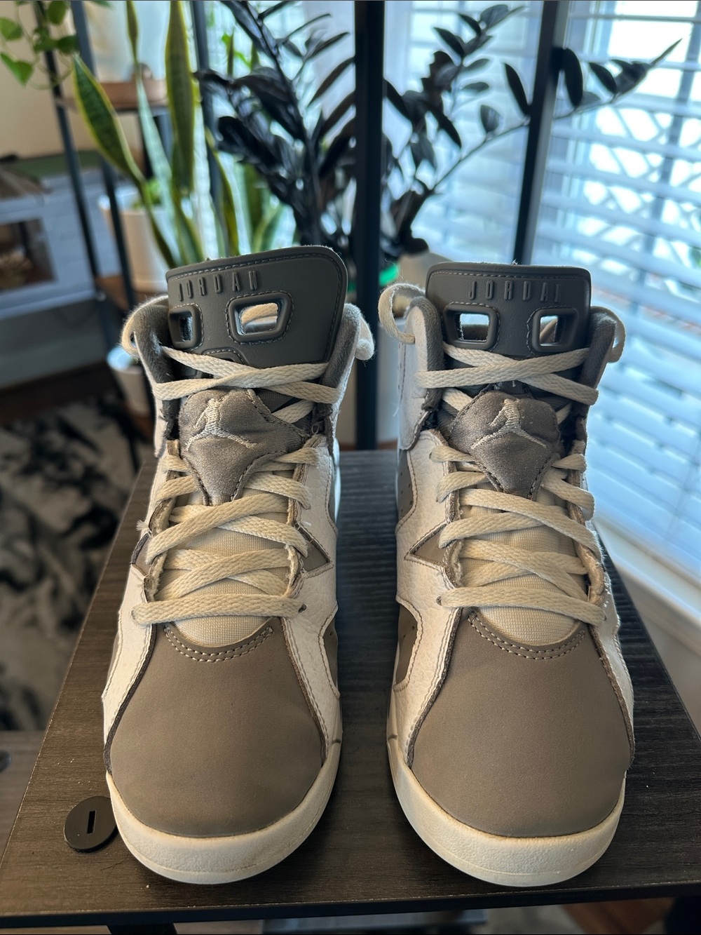 Jordan 6 Retro PS 2.5Y